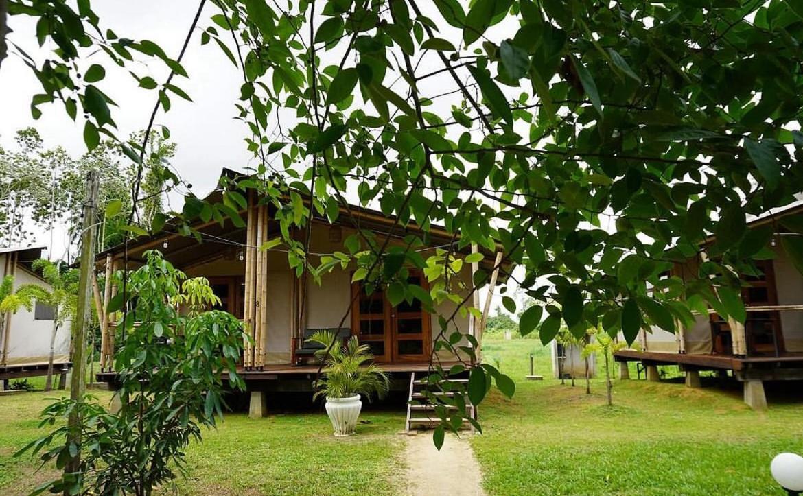 Houttuyn Wellness River Resort Paramaribo Extérieur photo